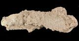 Fulgurite - Petrified Lightening #48366-1
